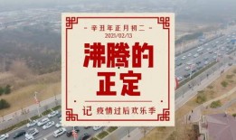 正定疫情最新爆料,追踪病毒变异与防控措施升级